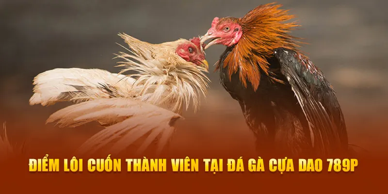 Điểm lôi cuốn thành viên tại đá gà cựa dao 789P