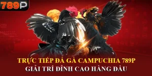 Trực tiếp đá gà Campuchia